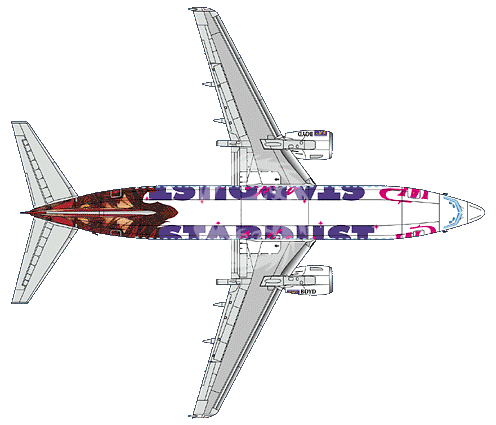 Kalkomania i blaszka do Boeing 737 Western Pacific Airlines "Stardust" - Bild 5 von 6