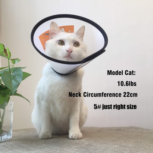Adjustable Recovery Pet Cone E-Collar for Cats Puppy Rabbit, Plastic Elizabet... - Picture 6 of 7