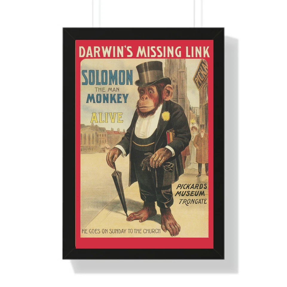 Solomon the Man Monkey, Vintage Poster, Darwin, Evolution, Wall Art Print - Image 4 of 4