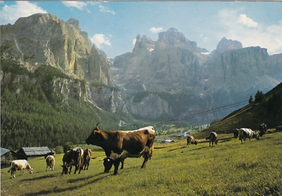 Alte Postkarte - Alta Val Badia