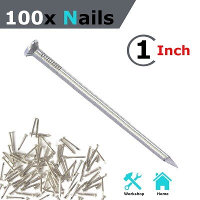 100Pcs Flat Head Inch Hardware Nails Picture Hanging Nails Galvanized  Nails