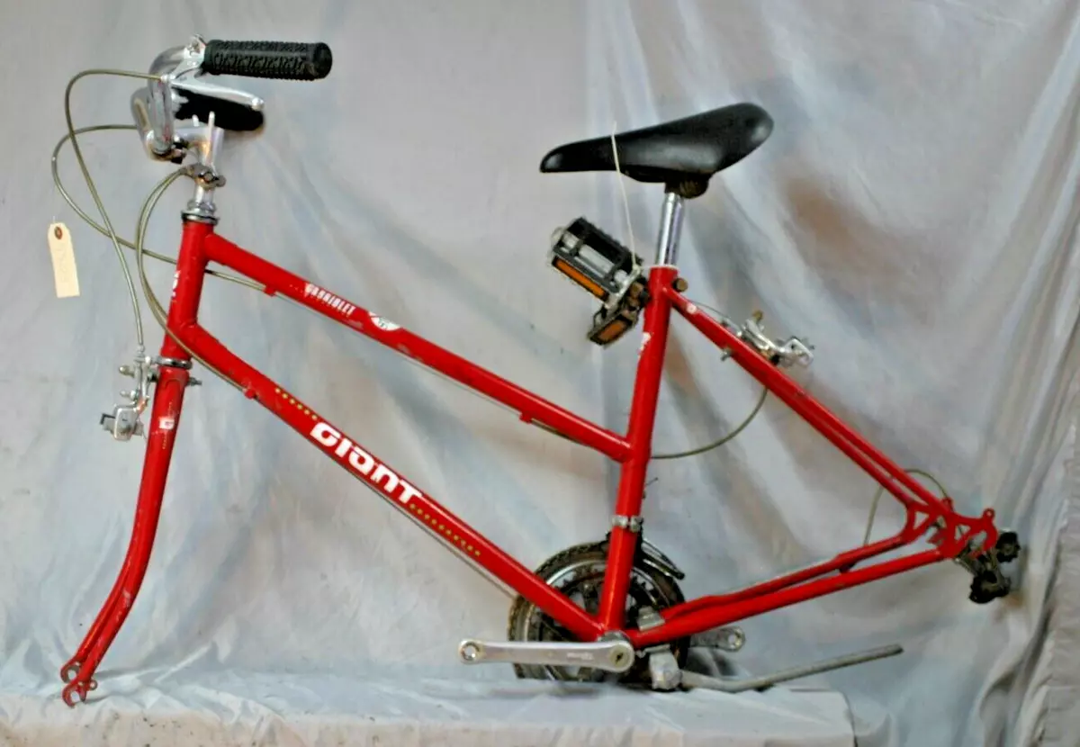 1990 Giant Cabriolet Road Bike Frame Set 17