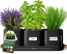Green Thumbz Herb Pots for Kitchen Windowsill - Set of 3 Black Herb Planter Ind