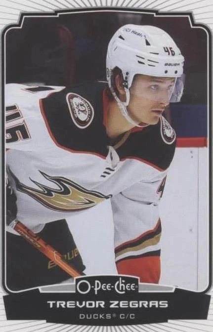 Close Up Photo Variations