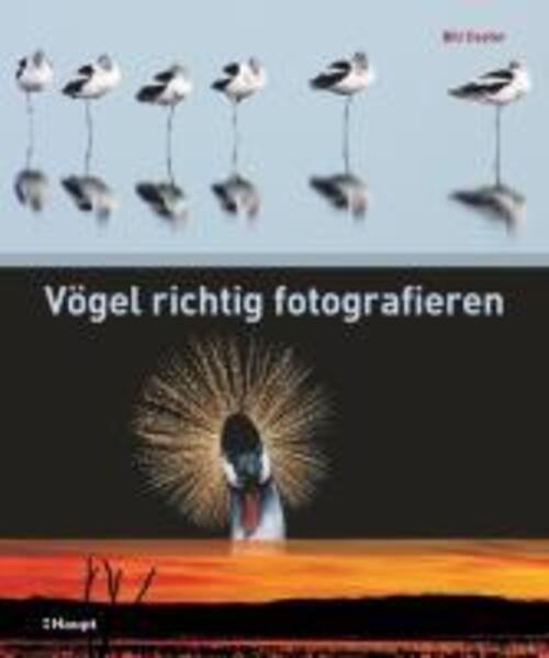 Vögel Richtig Fotografieren | Bill Coster | Buch | 160 S. | Deutsch |