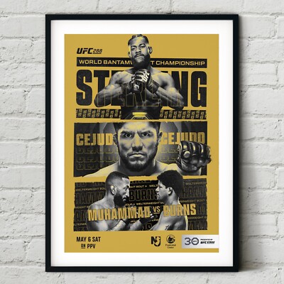 UFC 288 Aljamain Sterling vs. Henry Cejudo Kampf Poster Wandbild Druck Boxen
