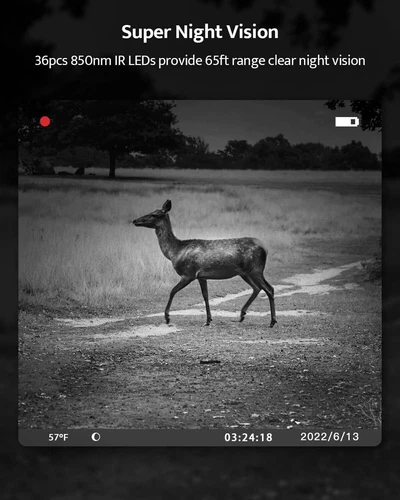 Wildkamera 2" LCD 1080P 24MP Jagdkamera mit 850 nm Infrarotlicht Zeitraffervideo - Bild 6 von 8