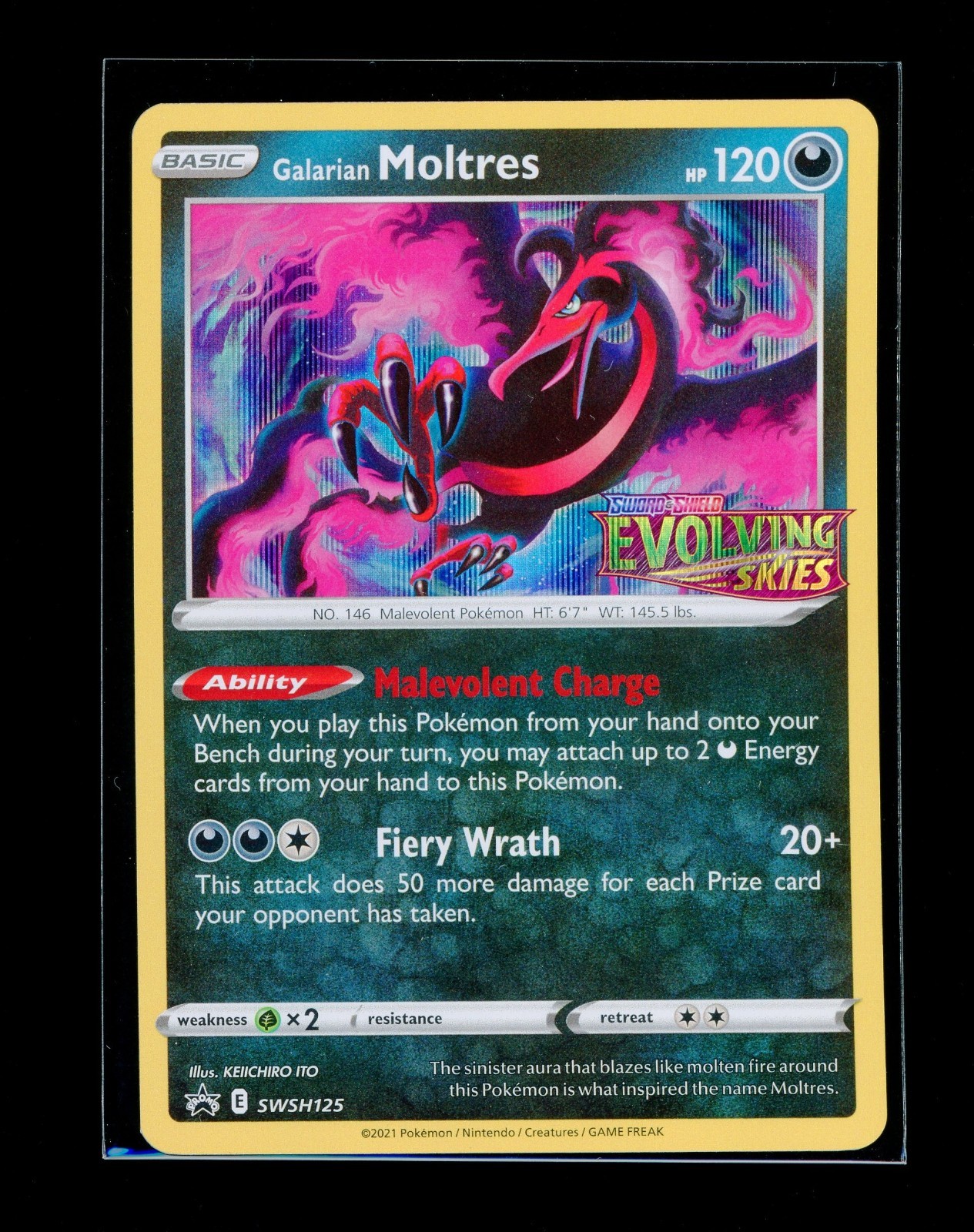 Pokemon Galarian Moltres Evolving Skies Prerelease Promo Holo SWSH125 NM