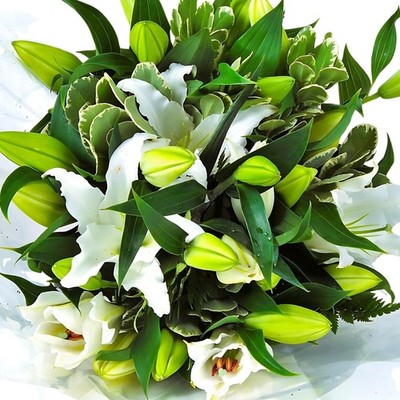 Homeland Florists weiß duftende orientalische Lilie frische Blume groß, 