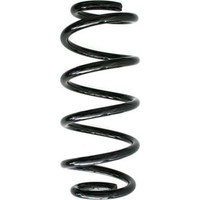 Spidan 85832 Fahrwerksfeder FüR Audi Seat A4 B6 A4 B7 Exeo 8E2 8E5 8EC 8ED 3R2