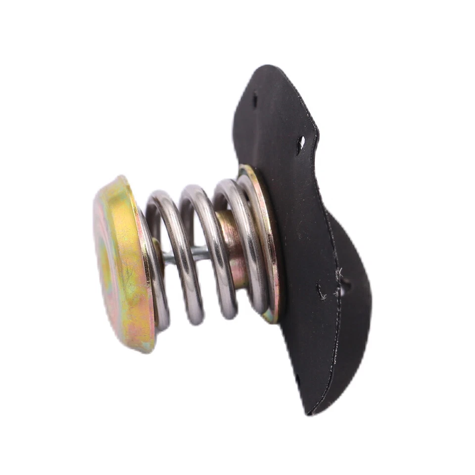 Diafragma regulador de presión de combustible nuevo para Chevy Corvette Celebrity Cavalier Foto 3 de 4