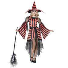 Partyholic Woman's Striped Witch Costume - Large 12-14 