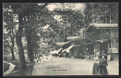 Harzburg, Unter den Eichen, Guest House, Panorama, Postcard 