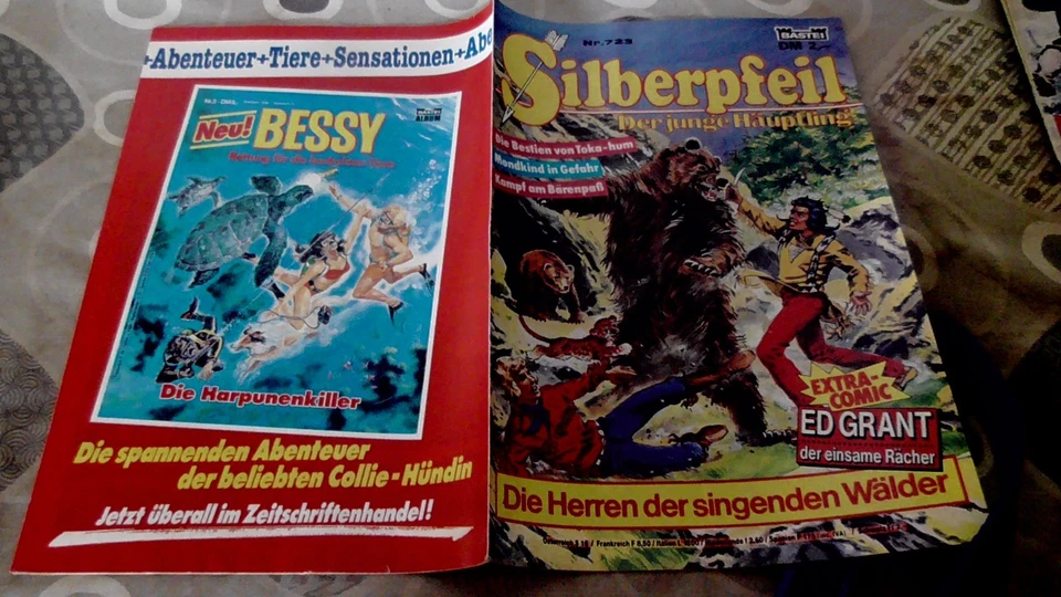 Silberpfeil Nr. 723 - Bild 1 von 1