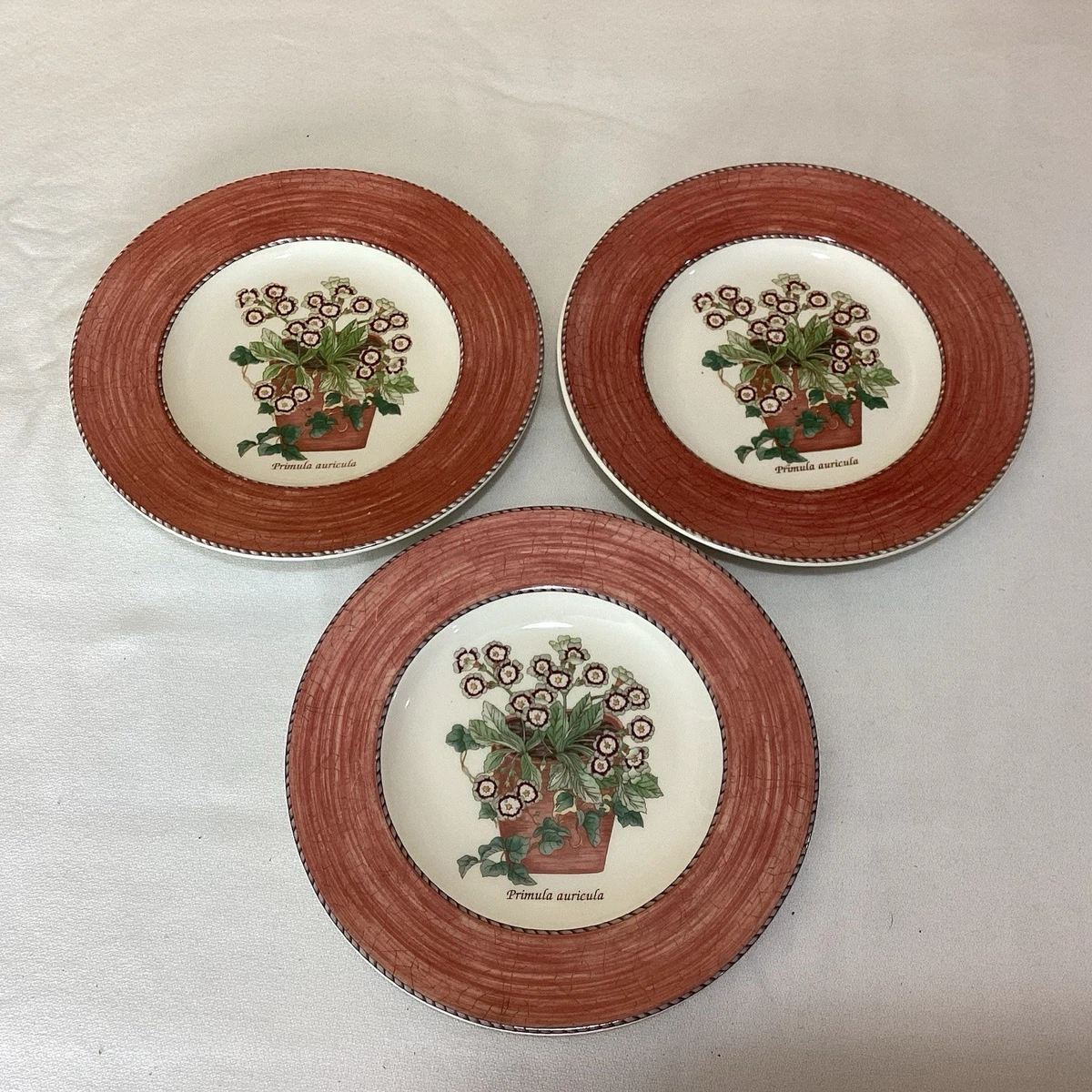 25+ Wedgwood Sarah S Garden for sale | Updated Oct 2026