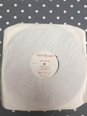 Wag 'Ya' Tail - Xpand Ya Mind 12'' Promo Vinyl Single Sanctuary Cat No: SANC1