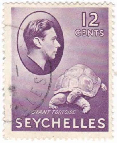Seychelles 1938 Giant Tortoise Theme 12c Used Stamp SG 139 - Picture 1 of 1