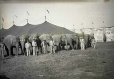 Cole Brothers - Elephant Line Up / Big Top - c1950s - Vtg Circus Negatives x2