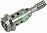 INA 427 0038 10 Zentral Ventil,Nockenwelle Verstellung FüR Ford,Ford (Changan),