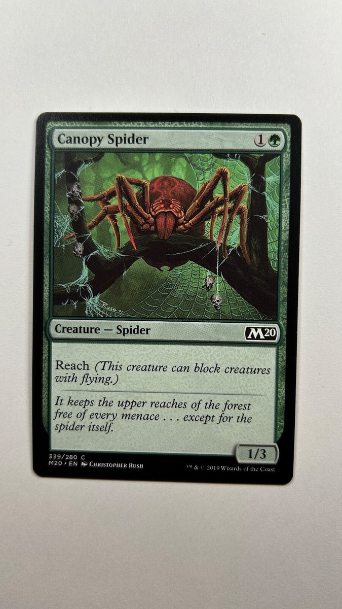 MTG Core set 2020 Canopy Spider 339/280 Magic the Gathering | eBay