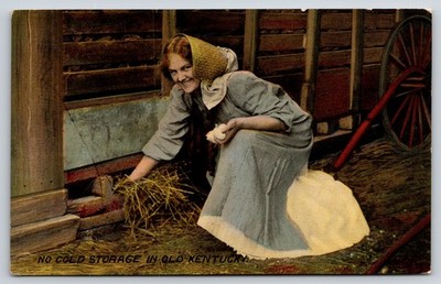 Kentucky~Historical~Lady Gathers Eggs in Barn~No Cold Storage~c1910 Postcard