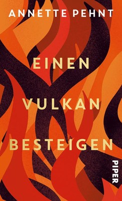 Einen Vulkan besteigen | Annette Pehnt | Buch | 288 S. | Deutsch | 2025