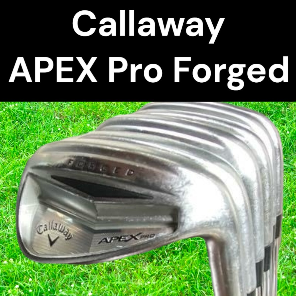 Callaway] APEX Pro Forged 6pcs 5-6-7-8-9+P Shaft Dynamic Gold S200 