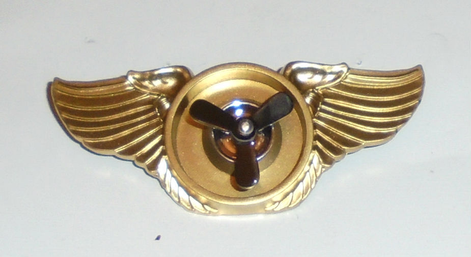 Drone Fighter Pilot Racer Player League Captain Wing Jacket Hat Pin Race Badge G