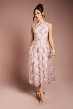 Coast Blush Midi Dress Womens Occasion Dresses