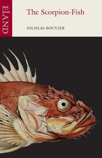 The Scorpion-Fish Nicolas Bouvier Taschenbuch Kartoniert / Broschiert Englisch-image