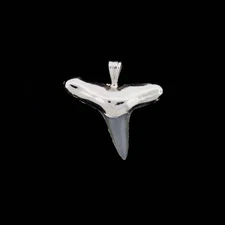 1" Fossil Lemon Shark Tooth Pendant | Nickel Electroformed
