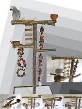 FREISITZ aus HASELNUSSHOLZ, mittelgroße Papageien, Großsittiche, Zubehör, 165 cm