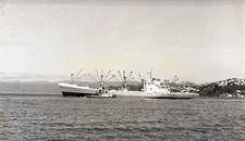 MV MONTREAL CITY Freighter / General Cargo Vessel - Vintage Ship Negative