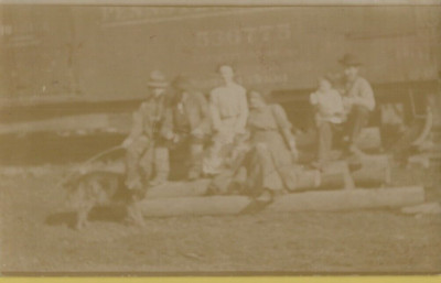 1910s Blurry RPPC Real Photo Postcard Solio Stamp Box Large Gathering Dog