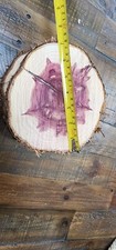 Cedar Wood Rounds