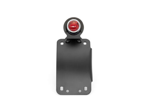 Side Mount Number Plate Holder & LED Taillight for Harley Davidson Sportster - Picture 3 of 6
