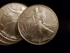 2007 -1oz  SILVER EAGLE ROLL of 20 -  UNCIRCULATED