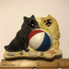 Willabee & Ward Magnet Dog W&W Pomeranian Beach Ball Day Summer Dogs Black Blond