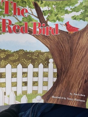Reading 2007 Listen to Me Reader, Grade K, Unit 6, Lesson 6, Below Level: Th...