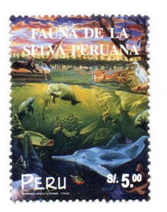 Perú 1999, Fauna of the Peruvian jungle, Manu National Park, accept offers