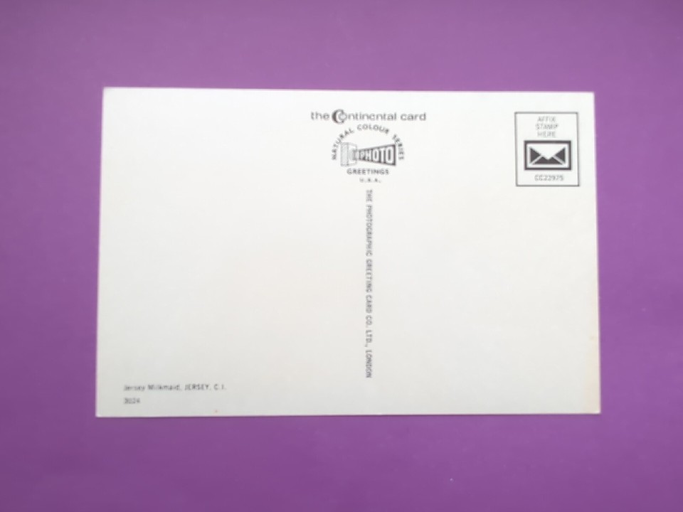 Postcard Vintage Jersey Milkmaid Jersey Channel Islands Continental