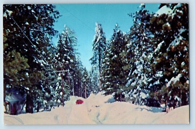 Running Springs California Postcard Winter Luring Pines Post Office 1960 Vintage