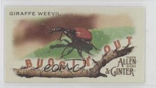 2020 Topps Allen & Ginter's Buggin' Out! Minis Giraffe Weevil #MBO-14 1c7