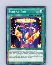 Yu-Gi-Oh TCG Fury Of Fire RIRA-EN054 Unlimited Regular Common Card NM
