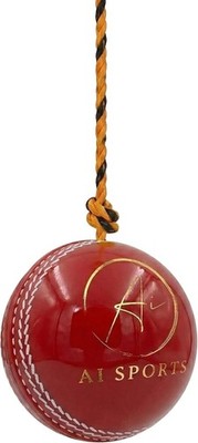 Cricketschläger Übungssaitenball - robuster Trainingsball aus Leder oder Kunststoff