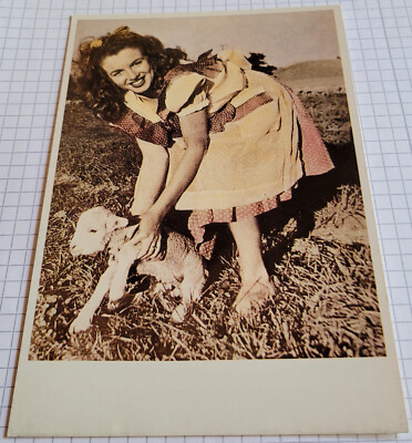 AK Schauspielerin MARILYN MONROE / Foto-Film-Star-PostKarte #2548