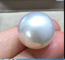 Huge 15-16mm Natural south sea genuine white round loose pearl undrilled 1458AAA