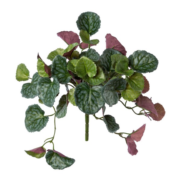 Kunstpflanze Peperomia, 2Er Set, Farbe GrüN, HöHe Ca. 22,5 Cm-image