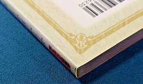 Napple Tale Arsia in Daydream Strategy Guide Book Sega Dreamcast 2000