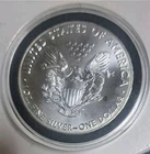 1 Oz Silver American Eagle BU